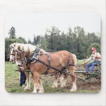 Chevaux 178 Mousepad Tapis De Souris