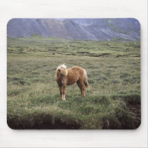 Chevaux 185 Mousepad Tapis De Souris