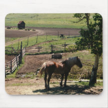 Chevaux 221 Mousepad Tapis De Souris