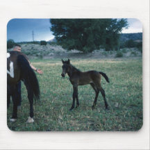 Chevaux 244 Mousepad Tapis De Souris