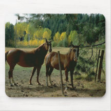 Chevaux 50 Mousepad Tapis De Souris