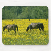 Chevaux 55 Mousepad Tapis De Souris