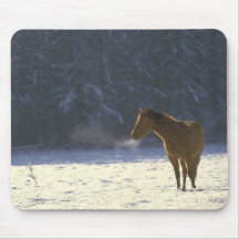 Chevaux 71 Mousepad Tapis De Souris