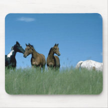 Chevaux 72 Mousepad Tapis De Souris