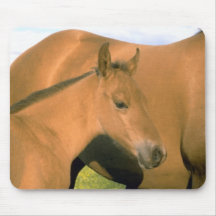Chevaux 81 Mousepad Tapis De Souris