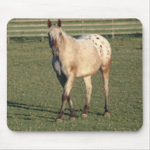 Chevaux 96 Mousepad Tapis De Souris