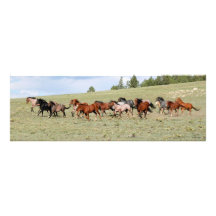 Chevaux appréciant l'ouest grand ouvert photo sur toile