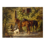 Chevaux au porche carte postale