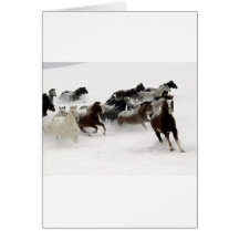 Chevaux dans la neige carte