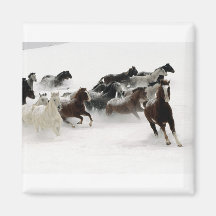 Chevaux dans la neige magnets pour réfrigérateur
