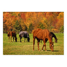 Chevaux dans l'ATC d'automne Cartes De Visite Professionnelles