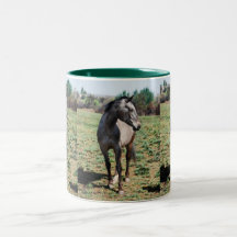 Chevaux d'Appaloosa Tasse À Café