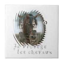 Chevaux de les de protège de Je Carreaux