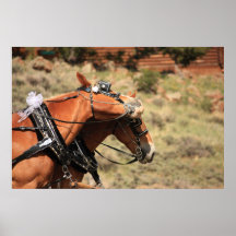 Chevaux de mariage posters