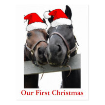 Chevaux de Noël Cartes Postales
