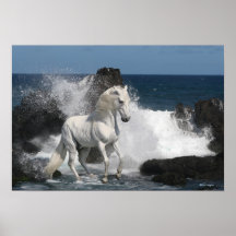 Chevaux d'imaginaire : Mers du sud Affiche