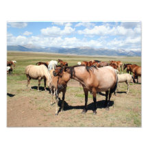 Chevaux d'un amour de mères photo sur toile
