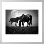 Chevaux et copie d'affiche de carré d'art de bruit
