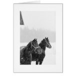 Chevaux faits sur commande de neige de salutation  carte de vœux