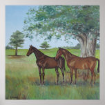 Chevaux irlandais par Joanne Casey Poster