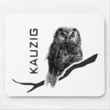 Chevêche chouette grand duc käuzchen owl bird kauz tapis de souris