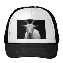 Chèvre Casquette De Camionneur