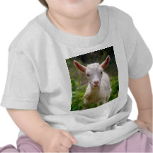 Chèvre d'enfant t-shirt