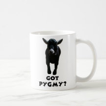 Chèvres pygméennes obtenues ? tasse
