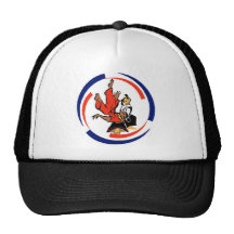 Chi dans l'Aikido Casquette