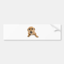 Chien Adhésifs Pour Voiture