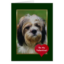 Chien aux cheveux longs adorable carte de vœux