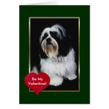 Chien aux cheveux longs noir et blanc adorable cartes de vœux
