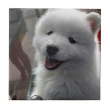 Chien blanc pelucheux heureux carreaux en céramique