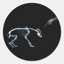 Chien bleu de squelettes de rayon X mauvais Adhésif Rond