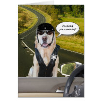 Chien/cannette de fil drôles de laboratoire au-des cartes