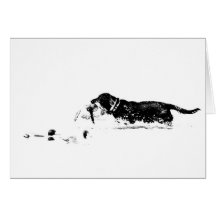 Chien chanceux cartes de vœux