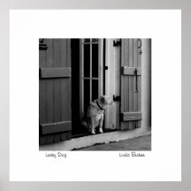 Chien chanceux par Linda Becker PhotoArt Poster