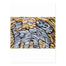 Chien cru de caverne (expressionisme cru) cartes postales