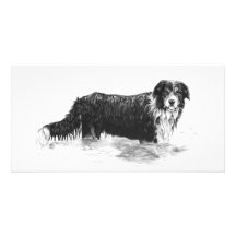 Chien dans l'eau - carte photo cartes de vœux avec photo