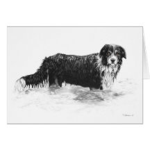 Chien dans l'eau - carte vierge de note