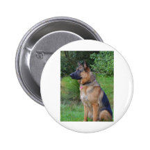 Chien de berger badges avec agrafe