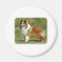 Chien de berger de Shetland Aimants