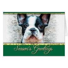 Chien de bouledogue français cartes