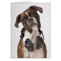 chien de boxeur avec des écouteurs carte