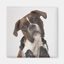 chien de boxeur avec des écouteurs magnets pour réfrigérateur