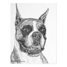 Chien de boxeur carte postale