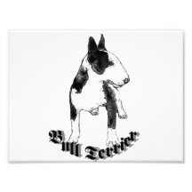 Chien de bull-terrier tirages photo