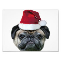 Chien de carlin de Noël Art Photographique
