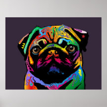 Chien de carlin posters