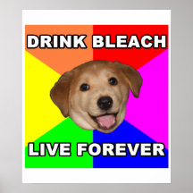 Chien de conseil posters